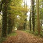 Herbststimmung am Niederrhein