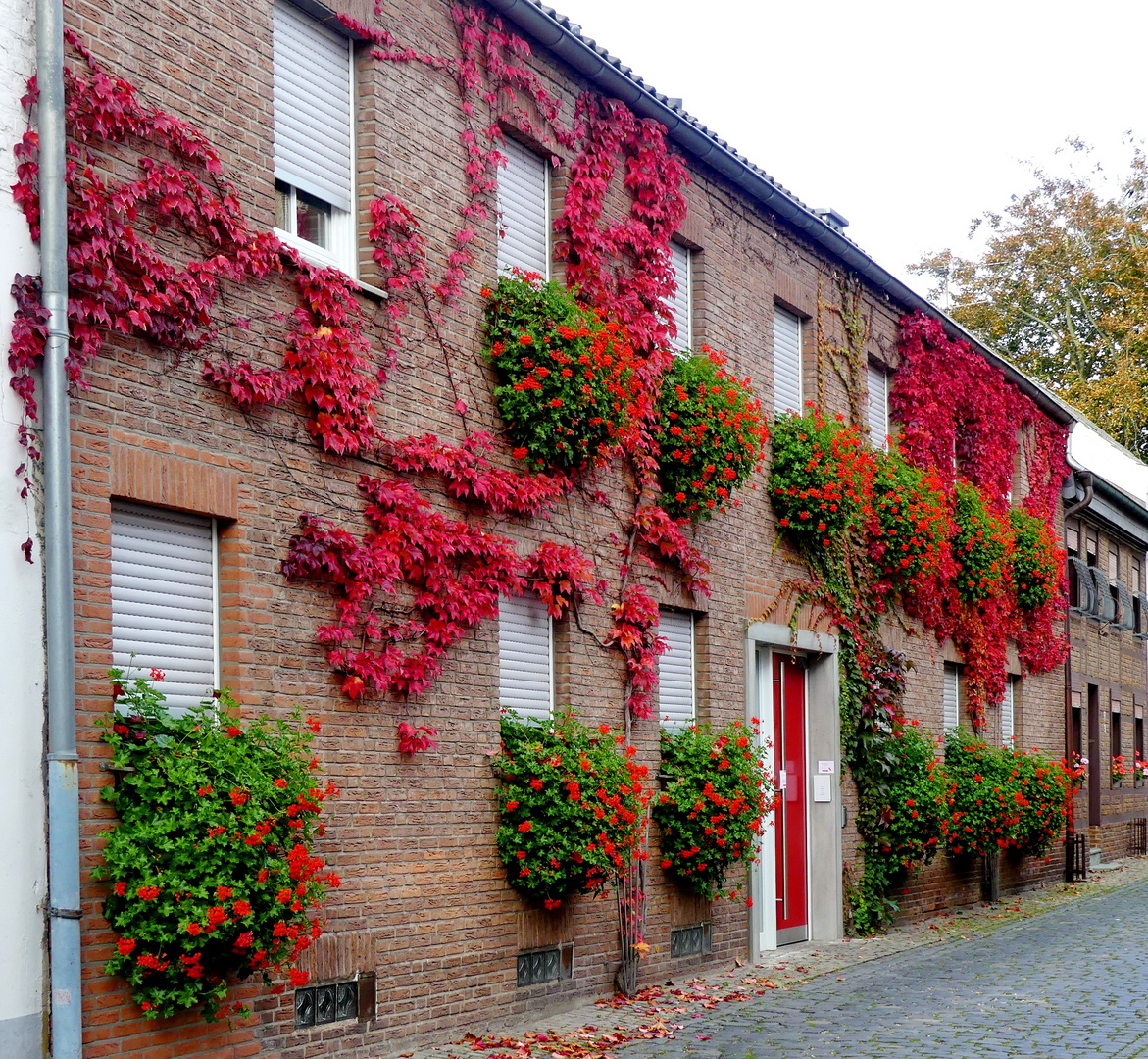 Herbststimmung am Niederrhein