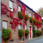 Herbststimmung am Niederrhein