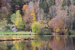 Herbststimmung am Nonnenmattweiher ...