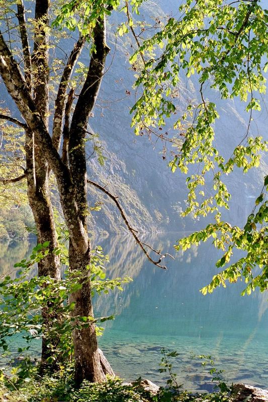 Herbststimmung am Obersee