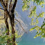 Herbststimmung am Obersee