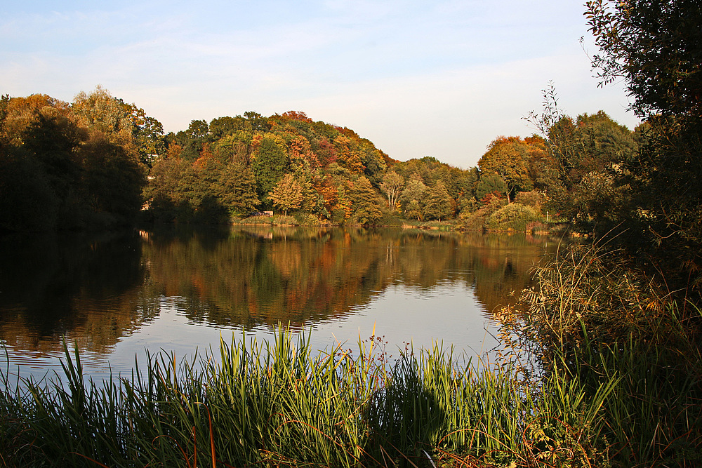 Herbststimmung am Ophovener Weiher