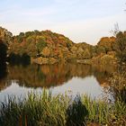 Herbststimmung am Ophovener Weiher