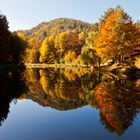 Herbststimmung am Paddelweiher