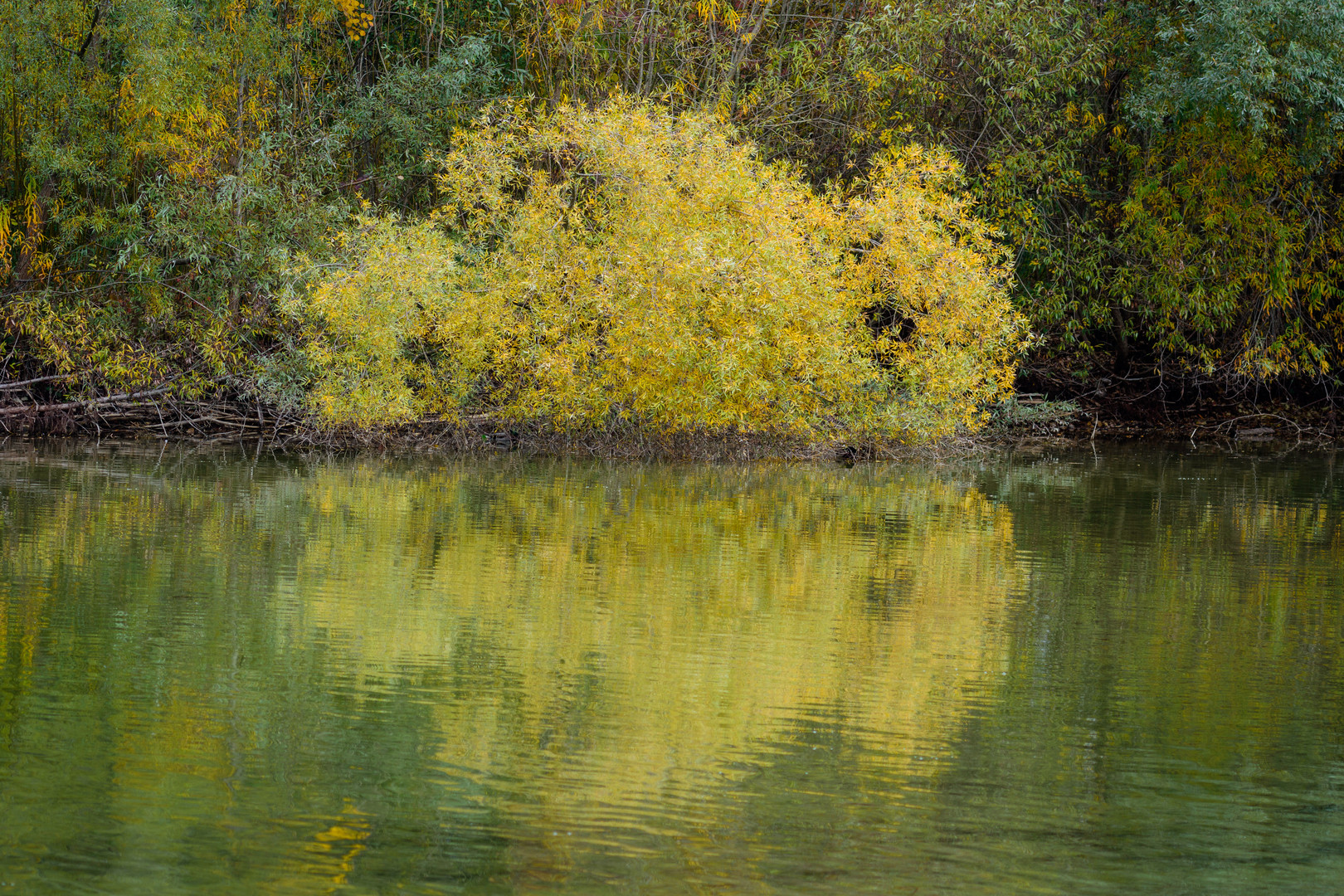 Herbststimmung am Pfäffikersee - Badi Auslikon