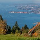 Herbststimmung am Pfänder überm Bodensee