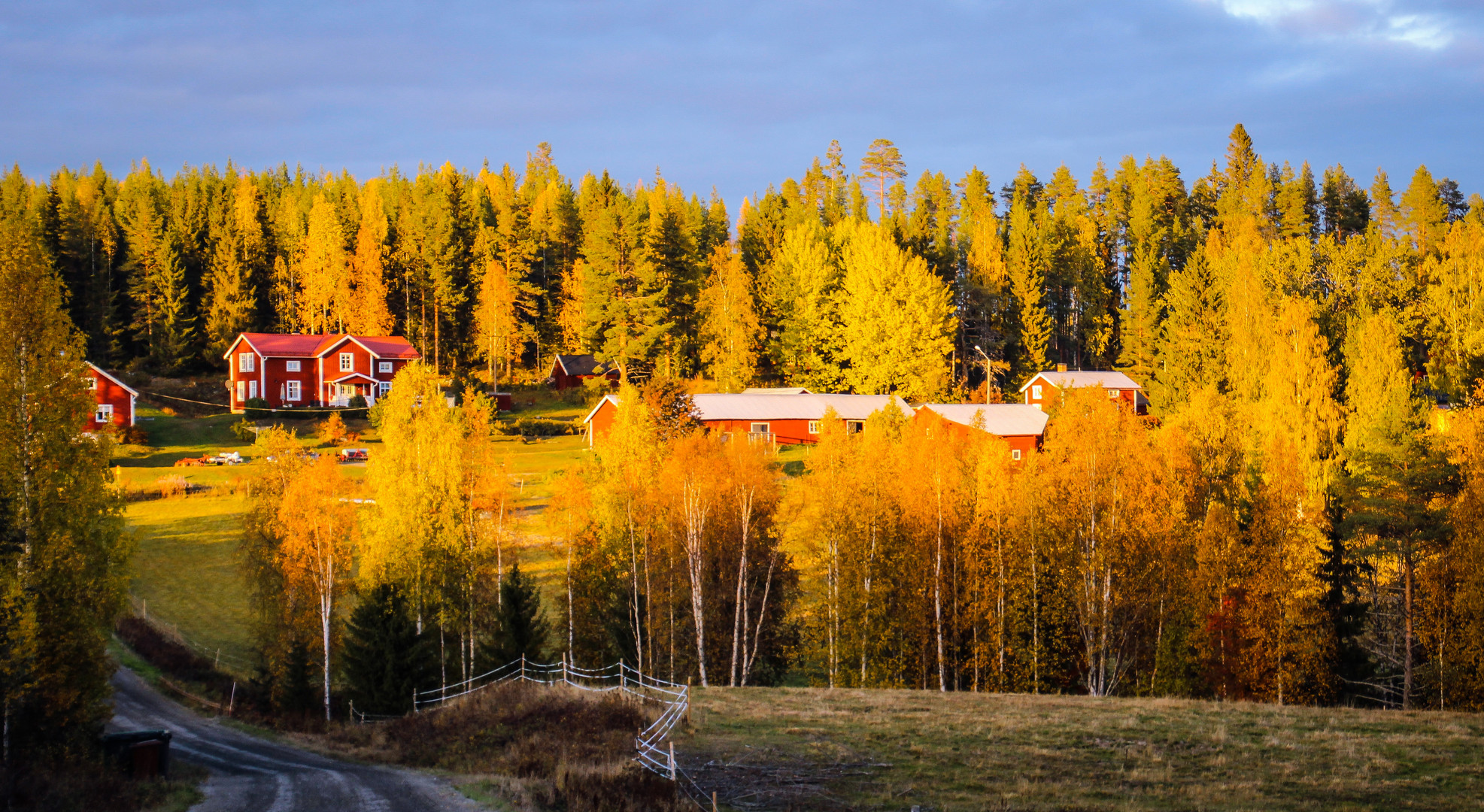 Herbststimmung am Polarkreis beim Sonnenuntergang