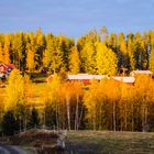 Herbststimmung am Polarkreis beim Sonnenuntergang