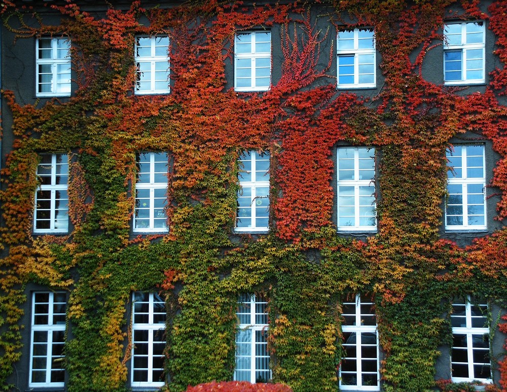 Herbststimmung am Rathaus Spandau