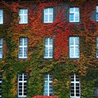 Herbststimmung am Rathaus Spandau