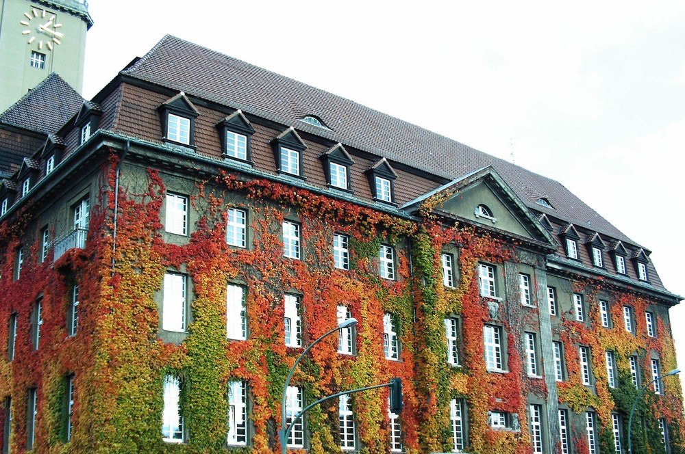 Herbststimmung am Rathaus Spandau II