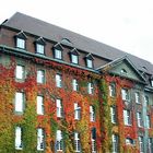 Herbststimmung am Rathaus Spandau II