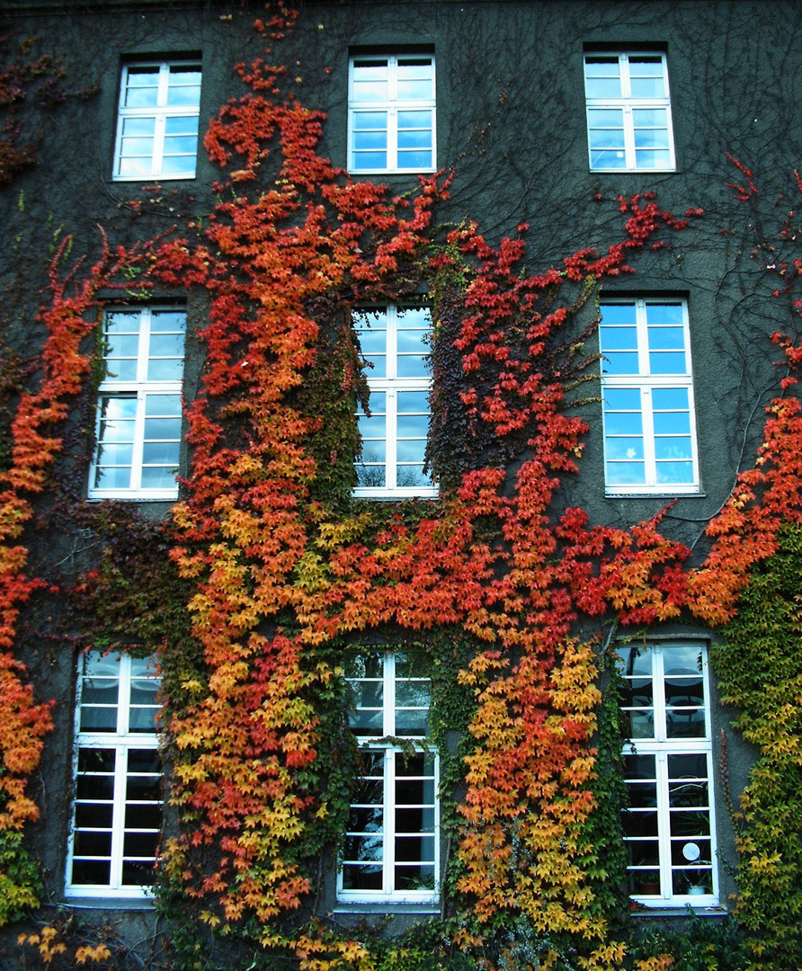 Herbststimmung am Rathaus Spandau III