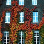 Herbststimmung am Rathaus Spandau III