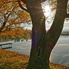 Herbststimmung am Reddeberteich