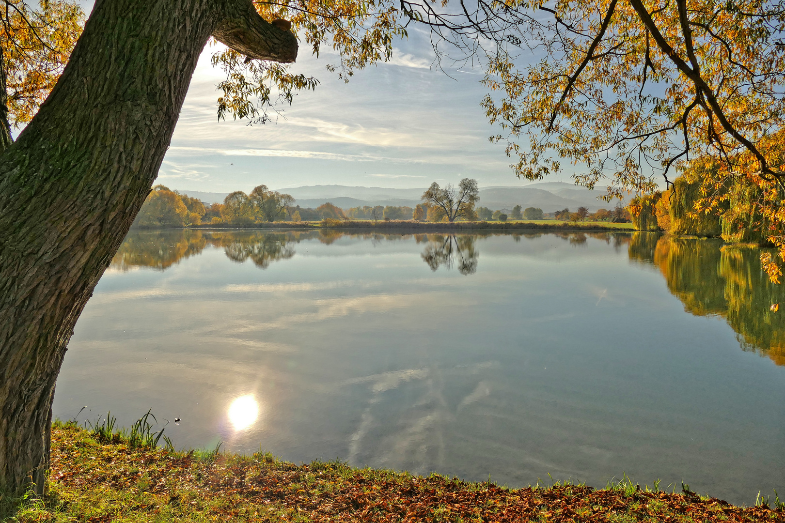 Herbststimmung am Reddeberteich