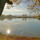 Herbststimmung am Reddeberteich