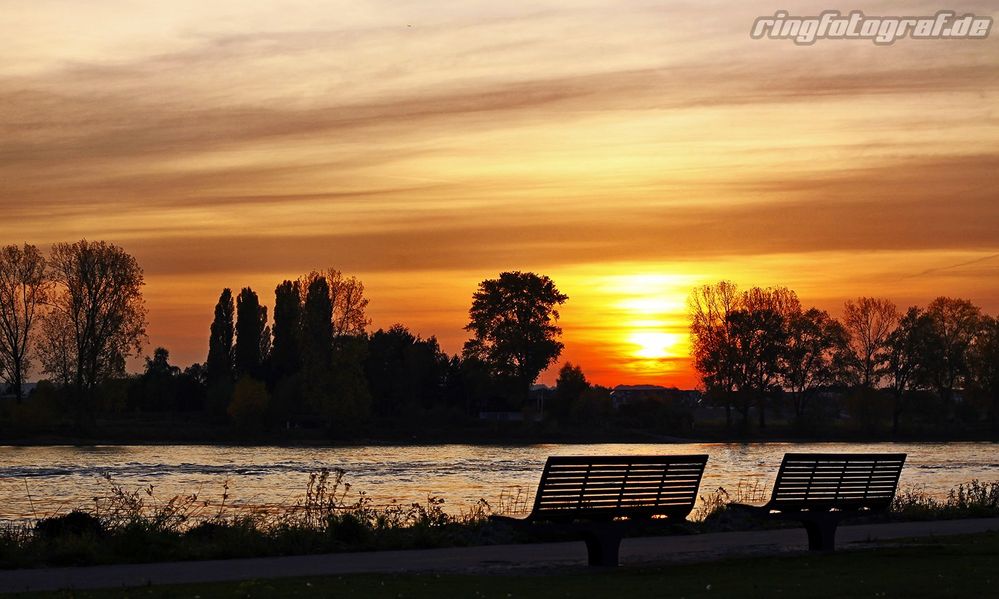 Herbststimmung am Rhein