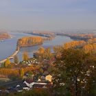 Herbststimmung am Rhein