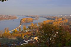 Herbststimmung am Rhein