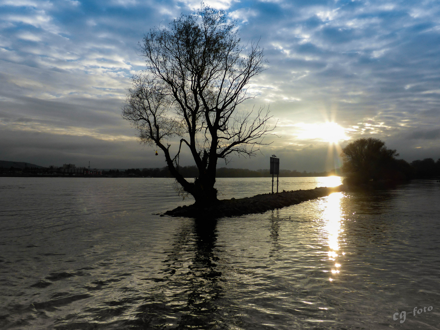 Herbststimmung am Rhein