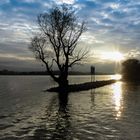 Herbststimmung am Rhein