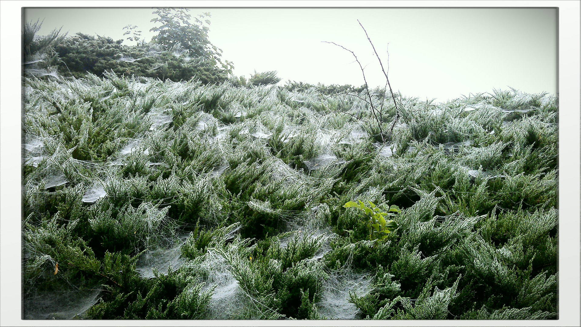 Herbststimmung am Richard-Wagner-Hain