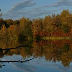 Herbststimmung am Schallweiher