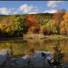 Herbststimmung am Schlammweiher in Bad Dürkheim