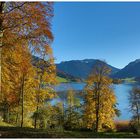 Herbststimmung am Schliersee II