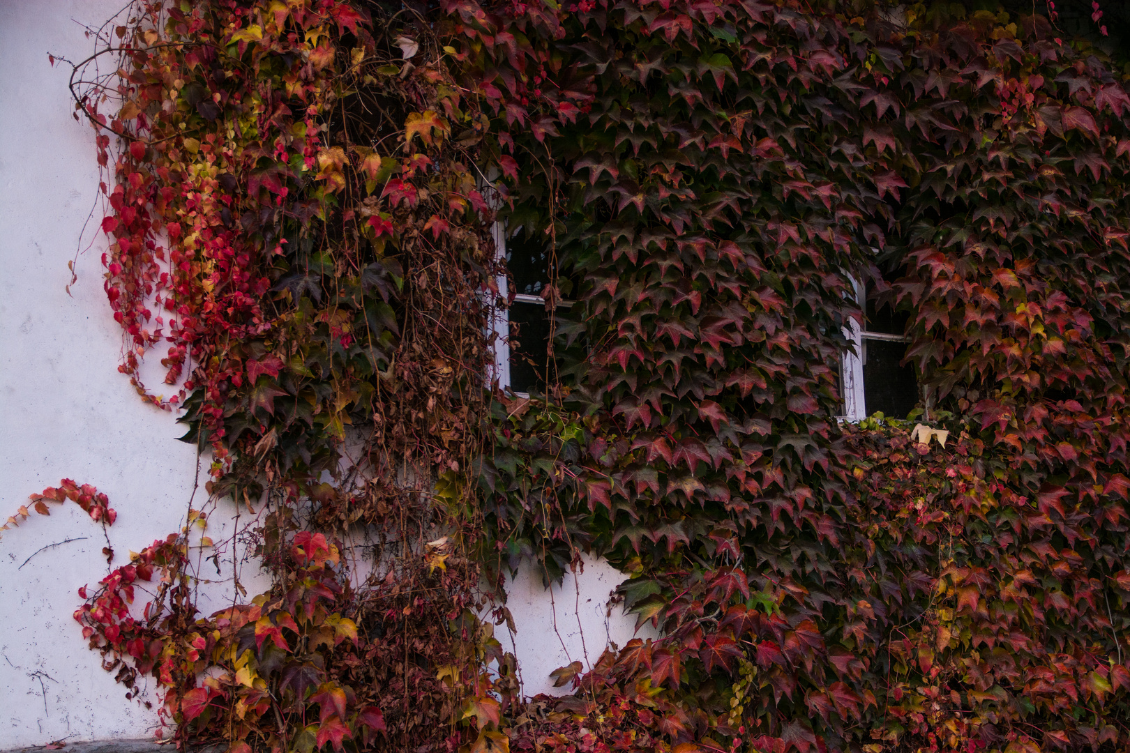 Herbststimmung am Schloss Auel 3