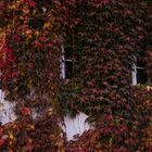 Herbststimmung am Schloss Auel 3