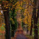 Herbststimmung am Schloss Auel 4