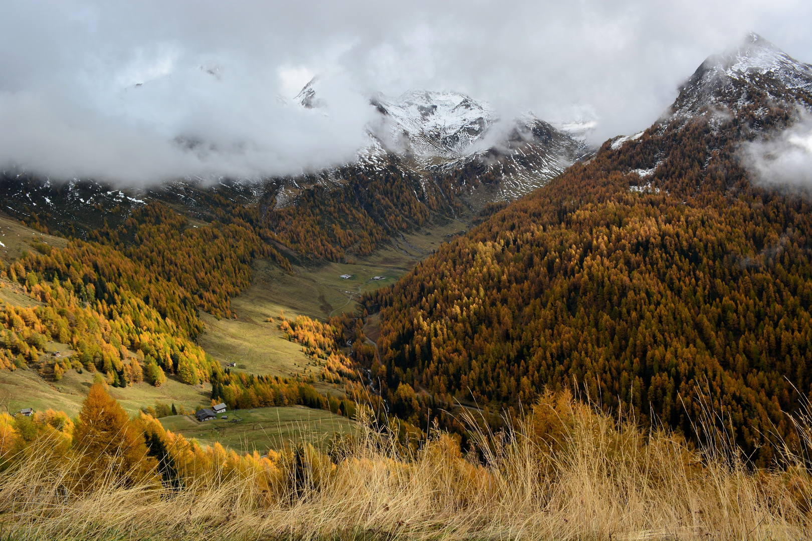 Herbststimmung am Schneeberg Passeiertal Südtirol