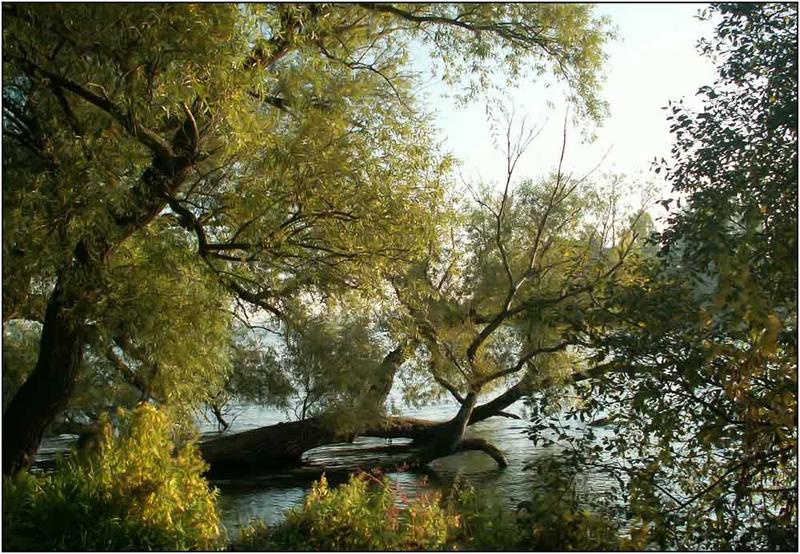 Herbststimmung am Schweriner See