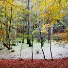 Herbststimmung am See