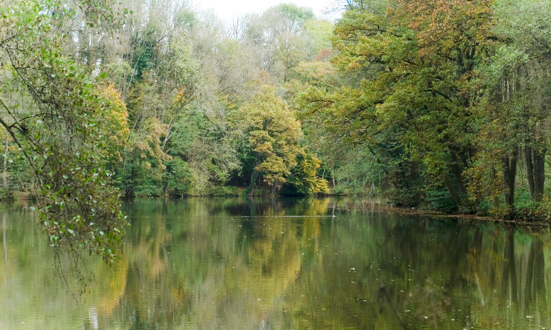 Herbststimmung am See 2014