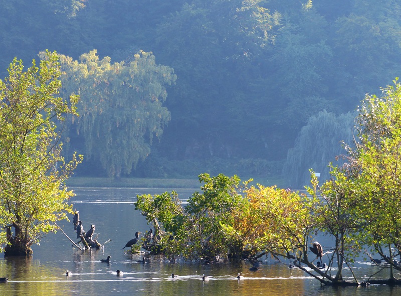 Herbststimmung am See...