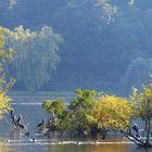 Herbststimmung am See...