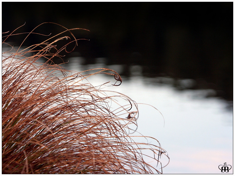 Herbststimmung am See...