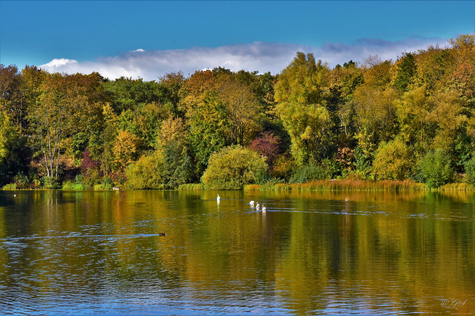 Herbststimmung am See