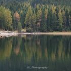 Herbststimmung am See