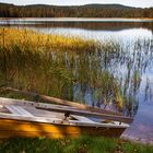 Herbststimmung am See