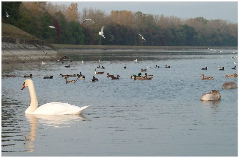 herbststimmung am see