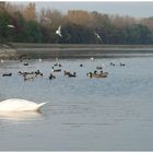 herbststimmung am see