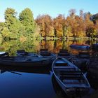 Herbststimmung am See 