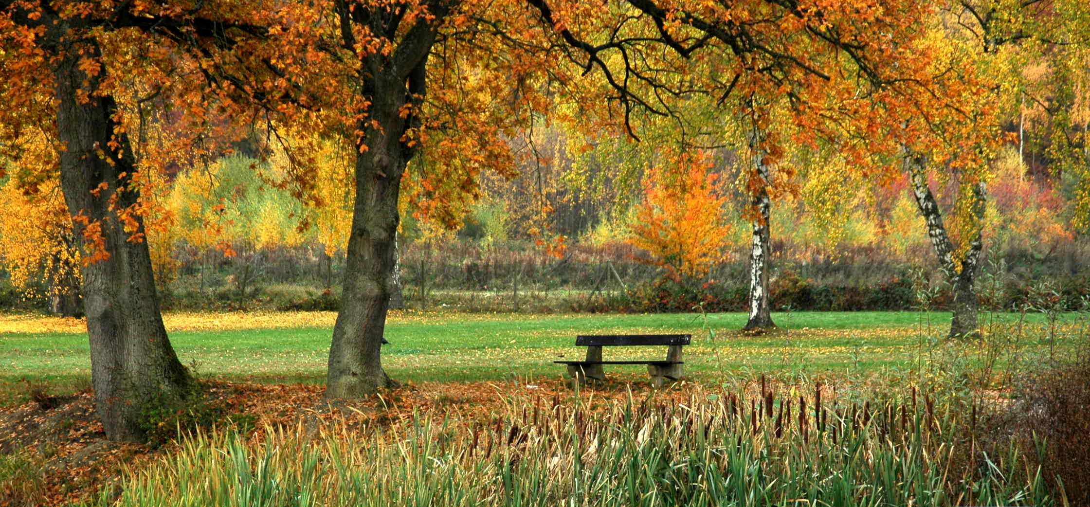 Herbststimmung am See