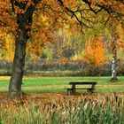 Herbststimmung am See