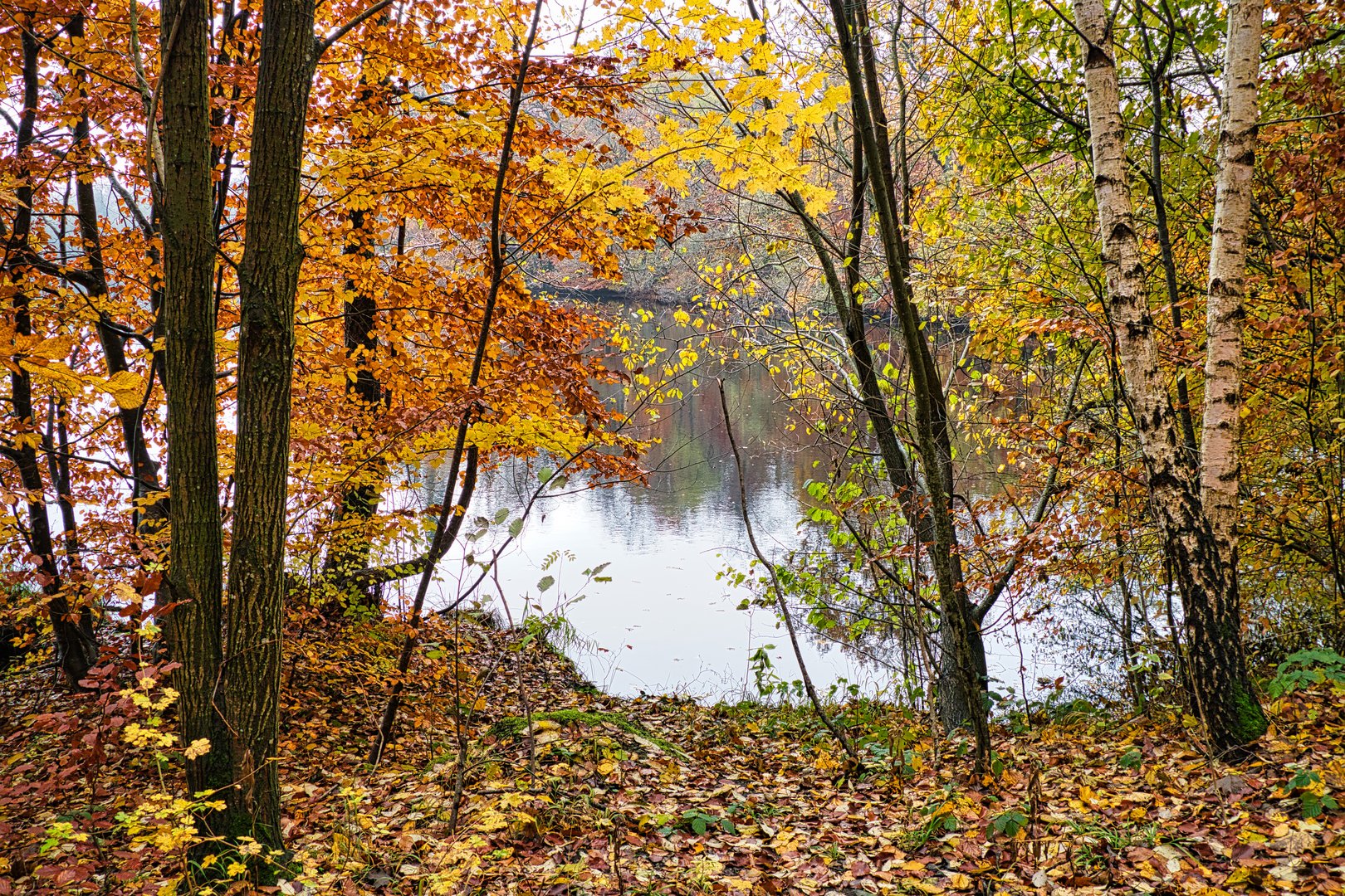 Herbststimmung am See